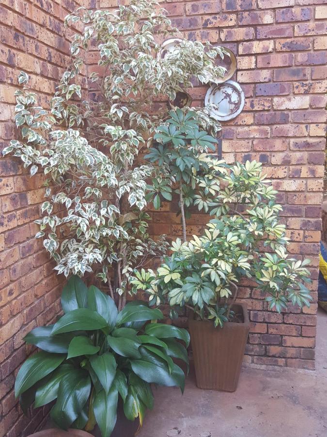 Grace Place Bnb Pretoria Bed & Breakfast Eksteriør bilde